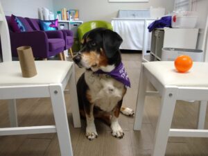 AAI Activities for Speech & Language Treatment
