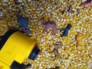 Wildlife Sensory Bin